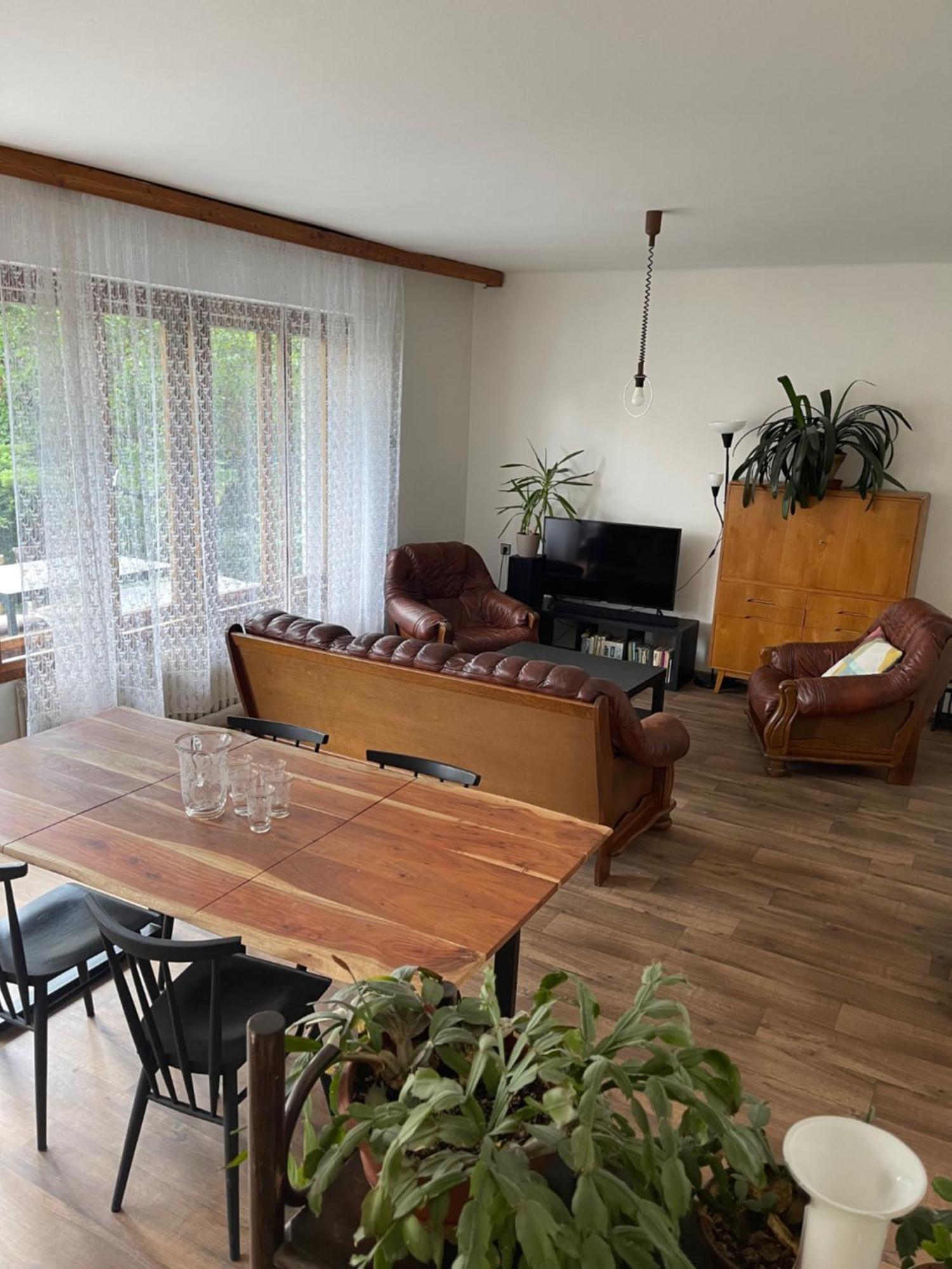 Apartment S Terasou Lysa Lysa nad Labem Ngoại thất bức ảnh