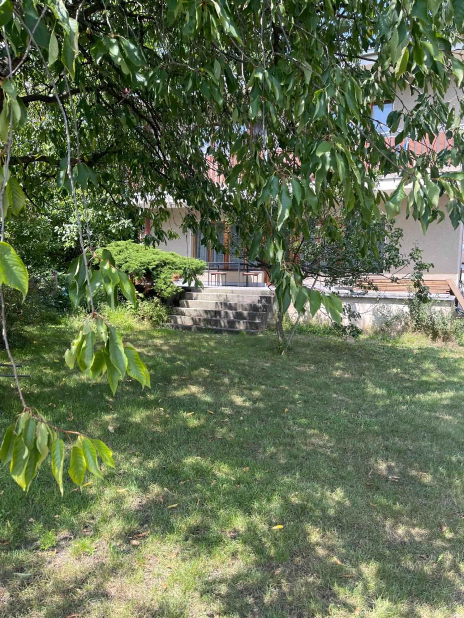 Apartment S Terasou Lysa Lysa nad Labem Ngoại thất bức ảnh