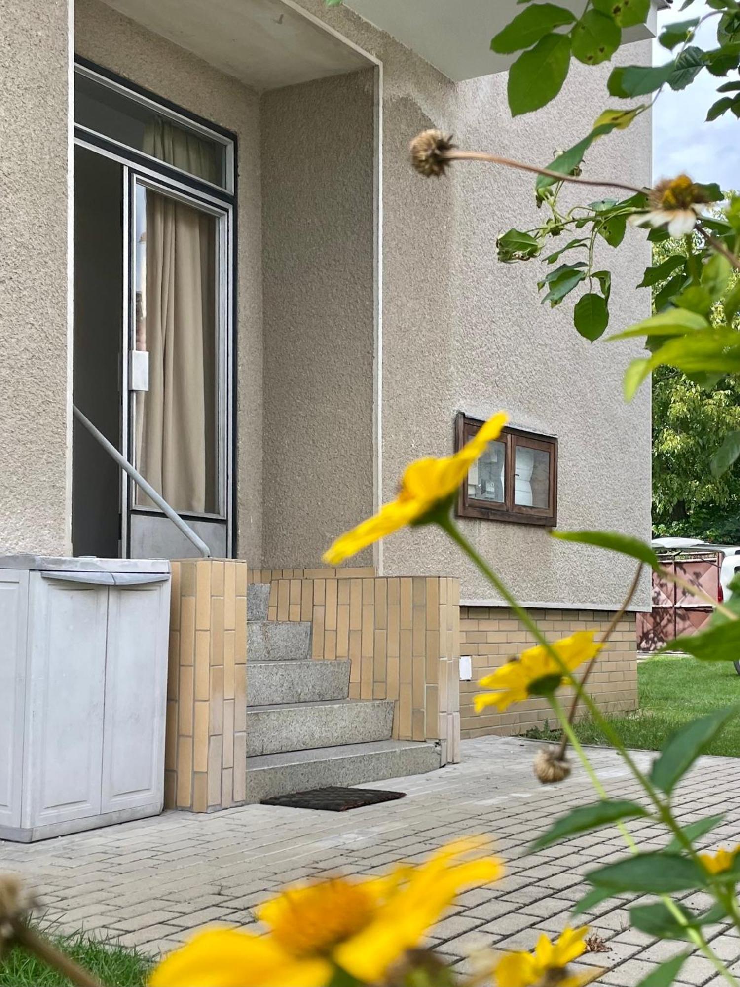 Apartment S Terasou Lysa Lysa nad Labem Ngoại thất bức ảnh