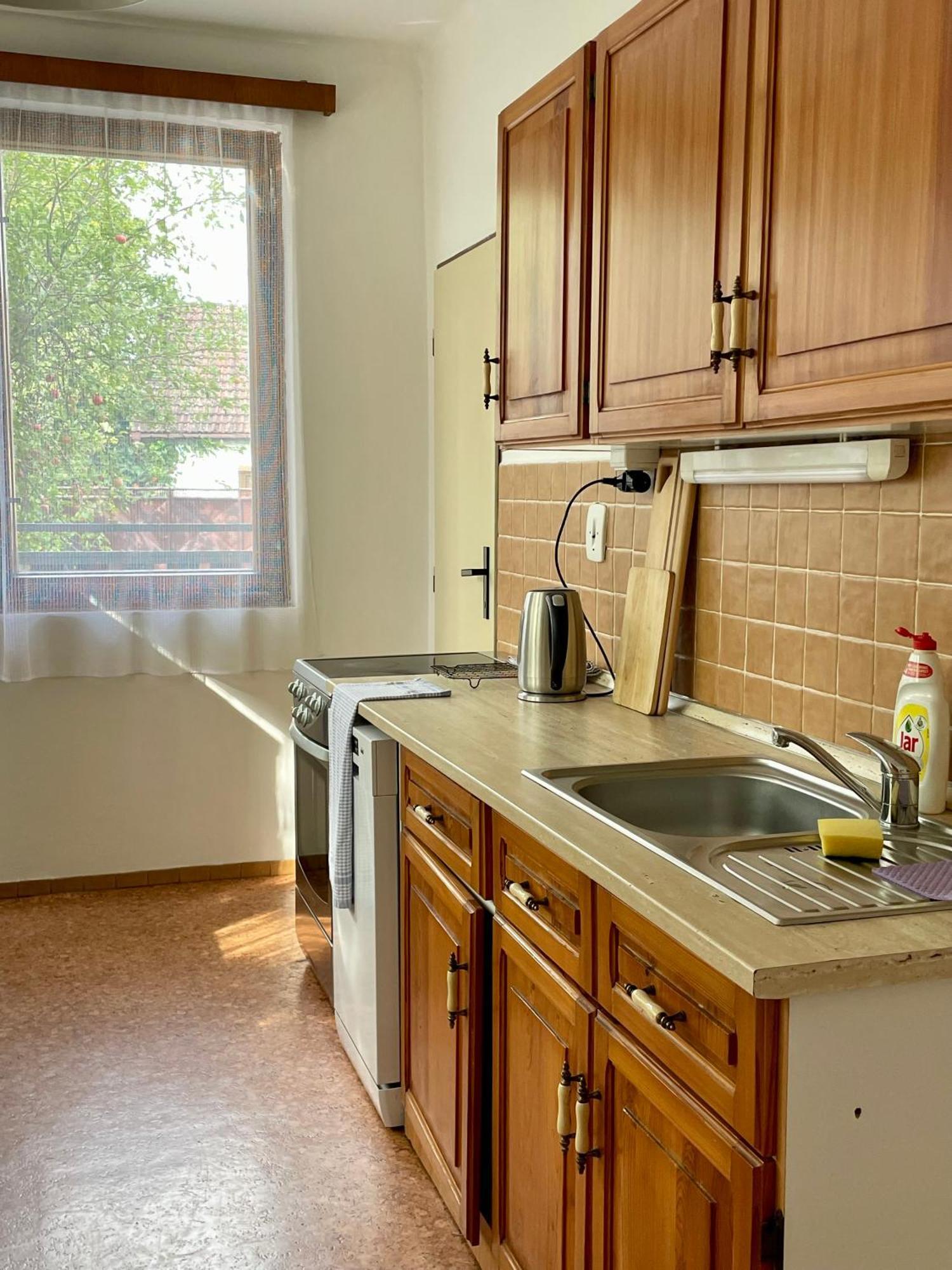 Apartment S Terasou Lysa Lysa nad Labem Ngoại thất bức ảnh